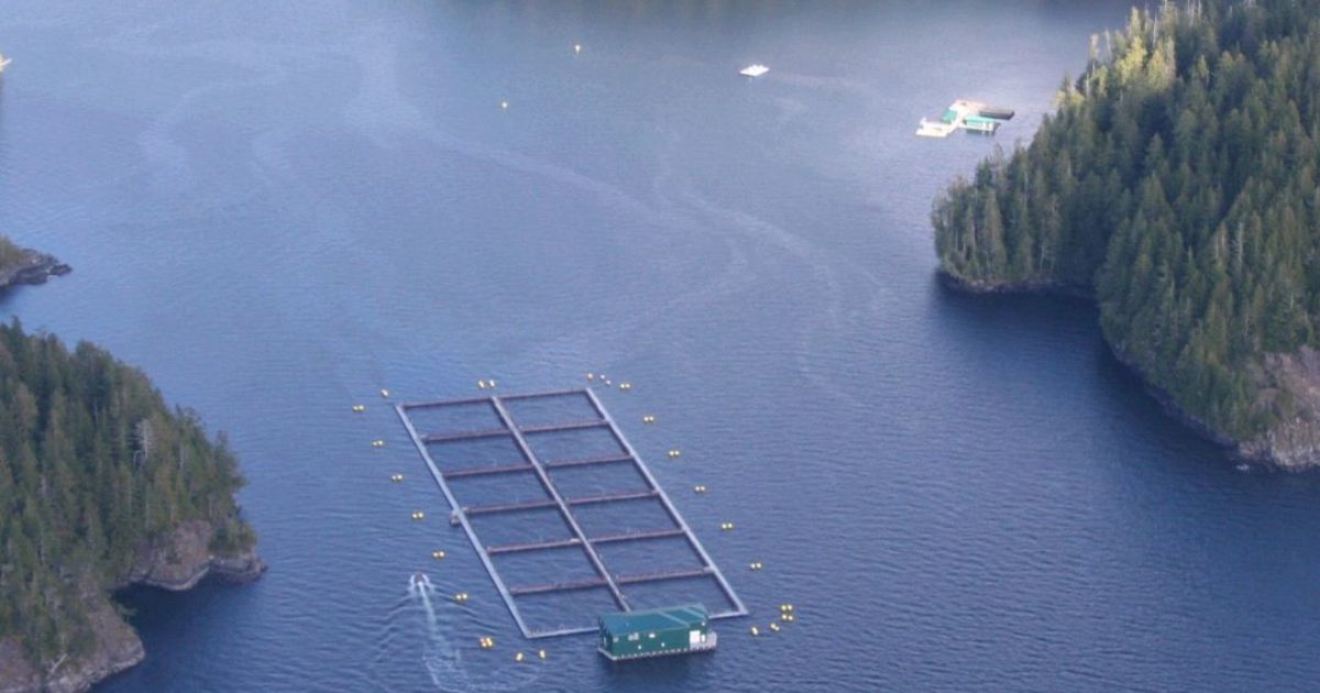 Mussel Rock Cermaq Canada