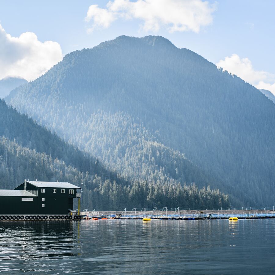 Scenic side view of farm