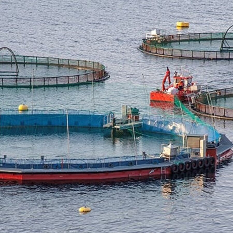 Certus in Norway summer 2020