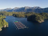 Cermaq brand photos 19