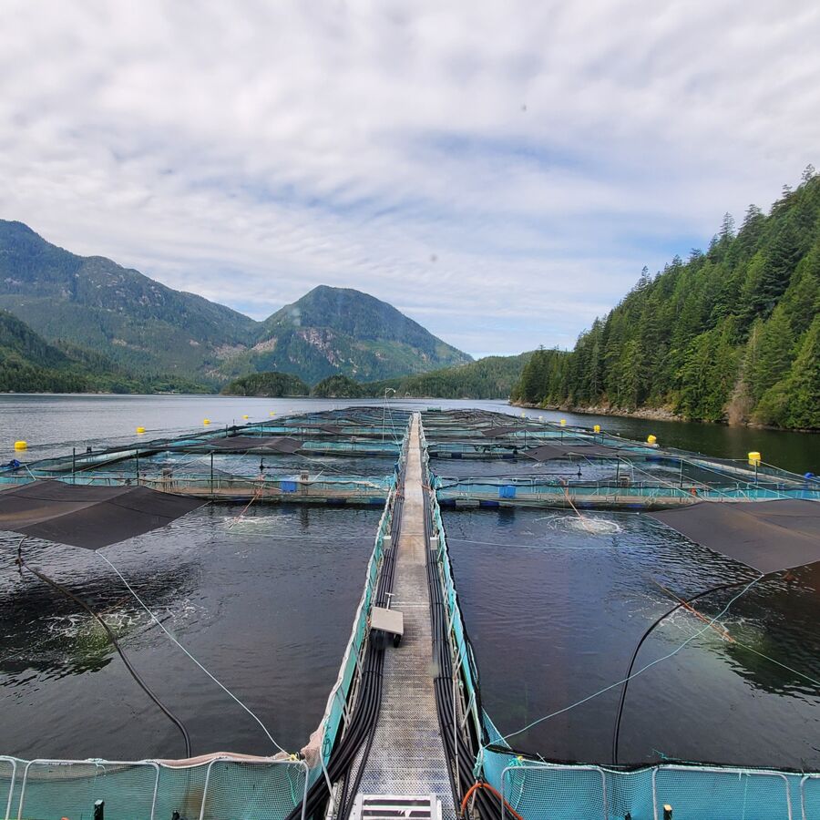 2019 Much North overhead